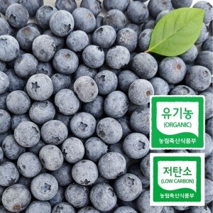 유기농 냉동블루베리 1Kg